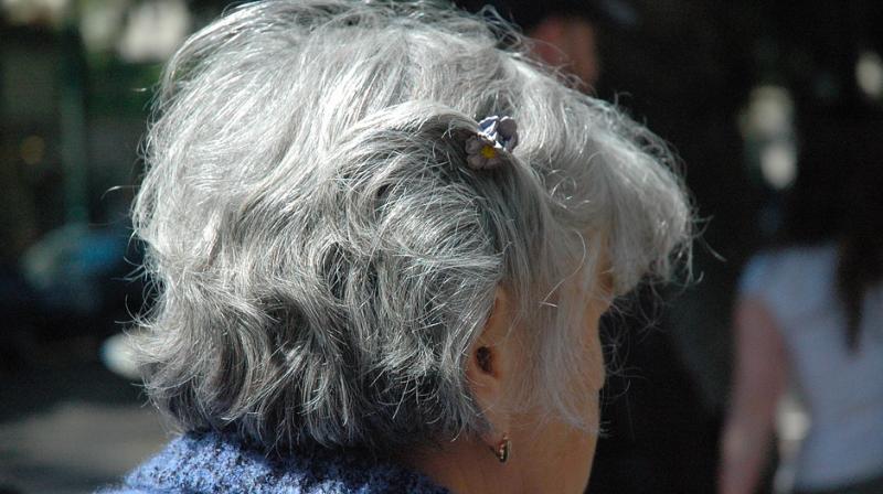 Alzheimer's has major social, emotional and financial consequences for patients and their families. (Photo: Pixabay) Alzheimer's has major social, emotional and financial consequences for patients and their families. (Photo: Pixabay)