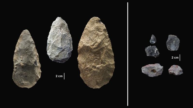 This image provided by the Smithsonian’s Human Origins Program shows artifacts found in southern Kenya’s Olorgesailie Basin. For hundreds of the thousands of years, people living there made and used large stone-cutting tools called handaxes, left. At right are more sophisticated tools, found in the same area, which were carefully crafted and more specialized than the large, all-purpose handaxes. (Smithsonian - Human Origins Program via AP) This image provided by the Smithsonian’s Human Origins Program shows artifacts found in southern Kenya’s Olorgesailie Basin. For hundreds of the thousands of years, people living there made and used large stone-cutting tools called handaxes, left. At right are more sophisticated tools, found in the same area, which were carefully crafted and more specialized than the large, all-purpose handaxes. (Smithsonian - Human Origins Program via AP)
