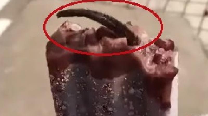 Several similar cases have been reported in the past few years (Photo: YouTube) Several similar cases have been reported in the past few years (Photo: YouTube)