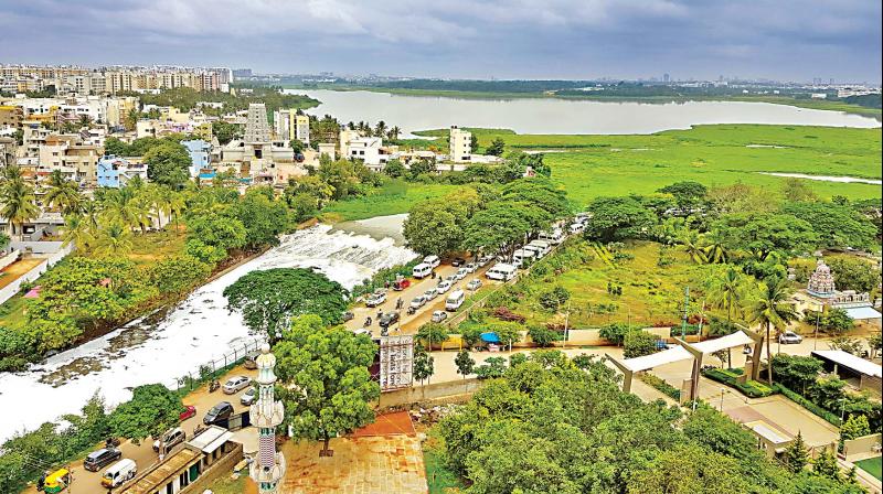 Bellandur lake Bellandur lake
