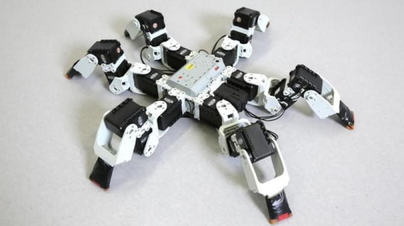 The robot that was used in the study(Credit: EPFL/Alain Herz) The robot that was used in the study(Credit: EPFL/Alain Herz)
