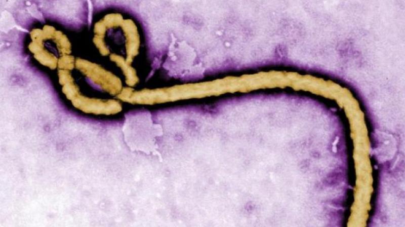 The experimental vaccine, which is manufactured by Merck (MRK.N), proved successful during its first wide-scale usage against the outbreak in the northwest. (Photo: AP) The experimental vaccine, which is manufactured by Merck (MRK.N), proved successful during its first wide-scale usage against the outbreak in the northwest. (Photo: AP)