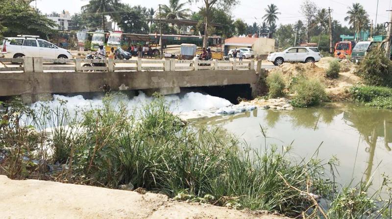 Foam overflowing at Varthur Lake in Bengaluru. (Photo:DC) Foam overflowing at Varthur Lake in Bengaluru. (Photo:DC)