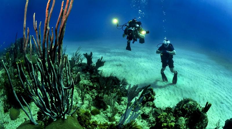 Underwater heart attack risk high for overweight scuba divers, experts warn. (Photo: Pixabay) Underwater heart attack risk high for overweight scuba divers, experts warn. (Photo: Pixabay)