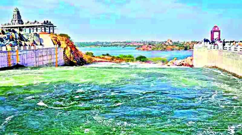 The government had earlier given an undertaking before the National Green Tribunal that it would not take up any work pertaining to irrigation on forest land, while continuing with drinking water supply work. The government had earlier given an undertaking before the National Green Tribunal that it would not take up any work pertaining to irrigation on forest land, while continuing with drinking water supply work.