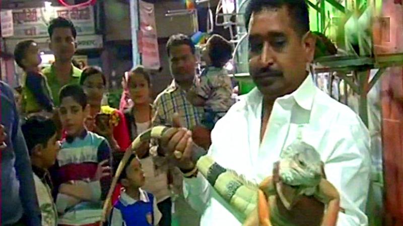 Raju bought the 4.5-foot-long lizards from Mumbai the same day he had heard of them. The man, who already has 4-5 lizards as pets, had been wanting to have an iguana as a pet for a long time. (Photo: ANI | Twitter) Raju bought the 4.5-foot-long lizards from Mumbai the same day he had heard of them. The man, who already has 4-5 lizards as pets, had been wanting to have an iguana as a pet for a long time. (Photo: ANI | Twitter)