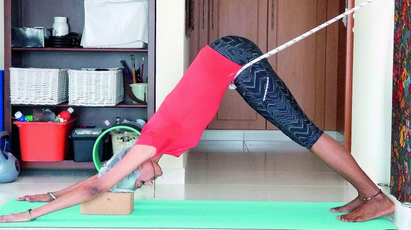 Adhomukhasvanasana Adhomukhasvanasana