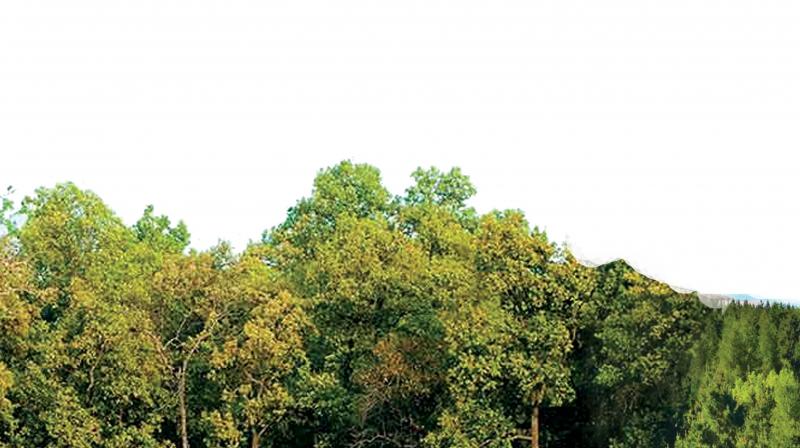 Representational image. Representational image.