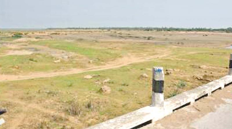 Spot inspected by Kancheepuram collector P. Ponniah at e Palar river basin for constructing check dams. (Photo: DC) Spot inspected by Kancheepuram collector P. Ponniah at e Palar river basin for constructing check dams. (Photo: DC)