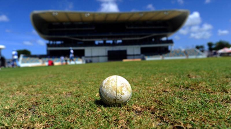 In the individual prize section, every player is awarded with a boiled egg, every time they hit a four or a six. (Photo: AFP/ Representational Image) In the individual prize section, every player is awarded with a boiled egg, every time they hit a four or a six. (Photo: AFP/ Representational Image)