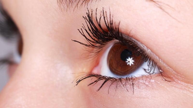 Your eyes can predict Parkinson's disease risk. (Photo: Pixabay) Your eyes can predict Parkinson's disease risk. (Photo: Pixabay)