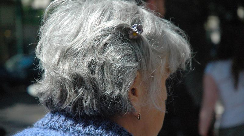 Aging leads to the accumulation of many different pathologies in the brain. (Photo: Pixabay) Aging leads to the accumulation of many different pathologies in the brain. (Photo: Pixabay)