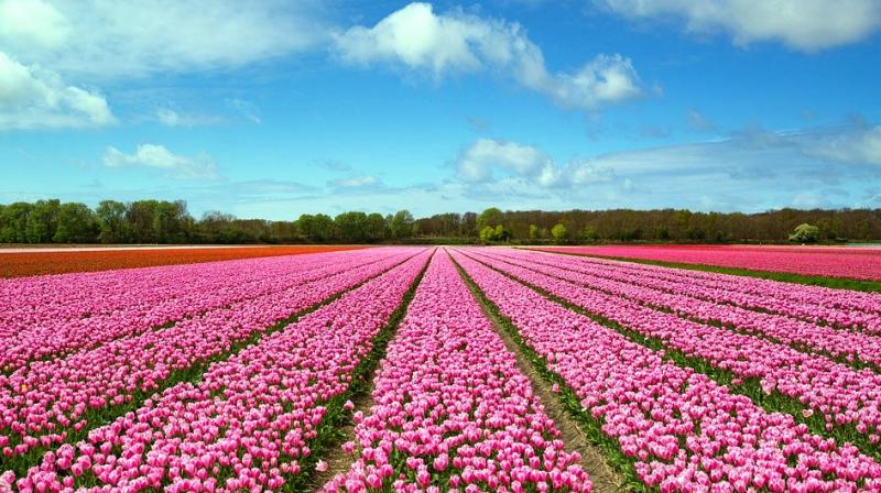More than a million foreign sightseers are expected to visit this country of 17 million people on Easter weekend. (Photo: Pixabay) More than a million foreign sightseers are expected to visit this country of 17 million people on Easter weekend. (Photo: Pixabay)