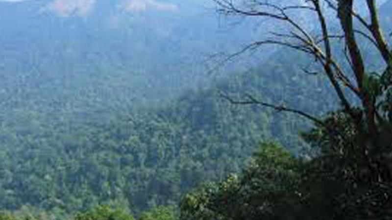 With an aim to give voice to the natural world, there will be an exhibition titled Biome on life in the Western Ghats by 11 photographers at Chithrashala Art Gallery at Kerala Lalithakala Akademi in Thrissur for four days starting Thursday. With an aim to give voice to the natural world, there will be an exhibition titled Biome on life in the Western Ghats by 11 photographers at Chithrashala Art Gallery at Kerala Lalithakala Akademi in Thrissur for four days starting Thursday.