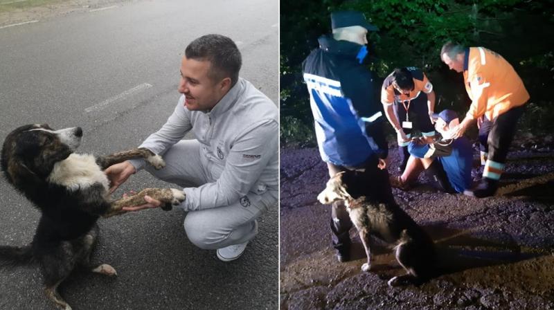 The dog, now been named Max, has been adopted by the vice-president of Caras-Severin county council Ionut Mihai Popovici. (Facebook Screengrab/ Jandarmeria Caras Severin) The dog, now been named Max, has been adopted by the vice-president of Caras-Severin county council Ionut Mihai Popovici. (Facebook Screengrab/ Jandarmeria Caras Severin)