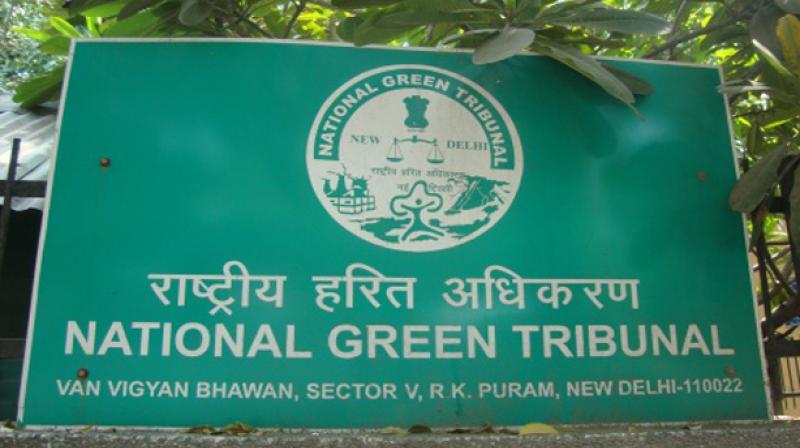 File photo of the National Green Tribunal. File photo of the National Green Tribunal.