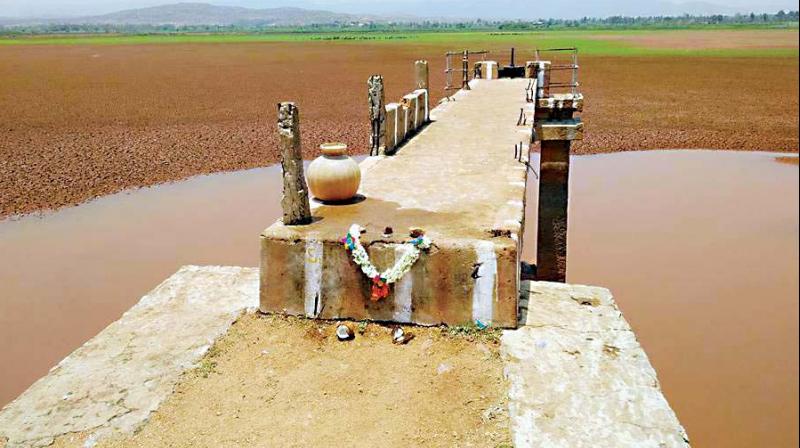 Revenue department records say the tank is spread across 476 acres and irrigates around 1,500 acres throughout the year, enabling farmers to reap a good harvest of paddy, sugarcane and banana crops. Revenue department records say the tank is spread across 476 acres and irrigates around 1,500 acres throughout the year, enabling farmers to reap a good harvest of paddy, sugarcane and banana crops.