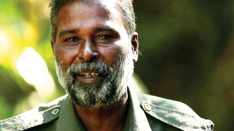 Renowned wildlife photographers, forest officials, scientists, botanists, tourists, those who were lucky to cross Kannan's path before he died on June 21 never came away from Periyar Tiger Reserve empty handed. Renowned wildlife photographers, forest officials, scientists, botanists, tourists, those who were lucky to cross Kannan's path before he died on June 21 never came away from Periyar Tiger Reserve empty handed.