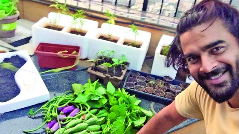 The concept of urban farming is a hit with today’s generation, as many youngsters are tapping into this trend to bring about a sense of food justice into their everyday lives The concept of urban farming is a hit with today’s generation, as many youngsters are tapping into this trend to bring about a sense of food justice into their everyday lives
