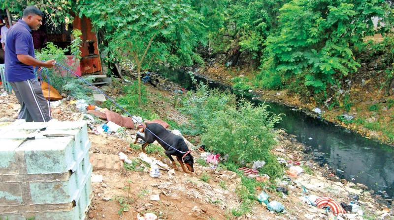 Police sniffer dogs pressed into service at a canal in Mogappair (West) where the victim’s body parts were first found (File photo) Police sniffer dogs pressed into service at a canal in Mogappair (West) where the victim’s body parts were first found (File photo)