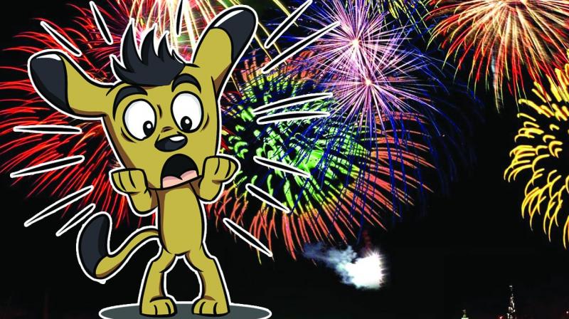 The sensitivity of animals to the sound and smell produced by fireworks is extremely high The sensitivity of animals to the sound and smell produced by fireworks is extremely high