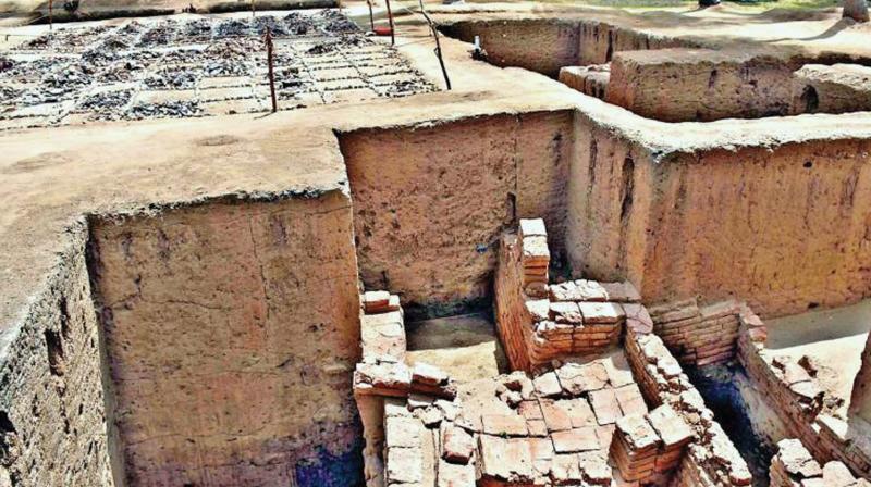 Keezhadi excavation site (DC: file Photo) Keezhadi excavation site (DC: file Photo)