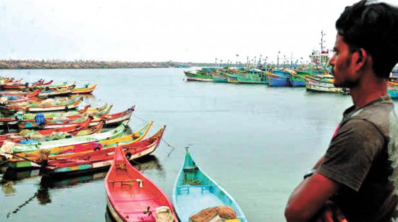 Scarcity of fuel used for fishing boats -Superior Kerosene Oil (SKO) - has come to such a pass that fishermen are not able to go for their daily work owing to shortage of fuel Scarcity of fuel used for fishing boats -Superior Kerosene Oil (SKO) - has come to such a pass that fishermen are not able to go for their daily work owing to shortage of fuel
