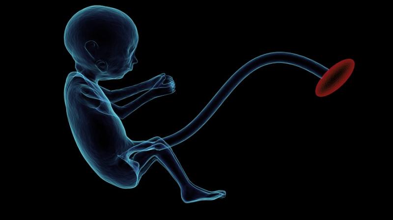 Genetic factors transmitted by mothers to their offspring seem like an obvious explanation behind this phenomenon. (Photo: Representational/Pixabay) Genetic factors transmitted by mothers to their offspring seem like an obvious explanation behind this phenomenon. (Photo: Representational/Pixabay)