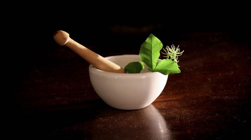 While herbal remedies may work, it is advised that parents consult doctors for test herbal therapies. (Photo: Pixabay) While herbal remedies may work, it is advised that parents consult doctors for test herbal therapies. (Photo: Pixabay)