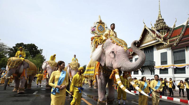 Ten elephants from Ayutthaya camp march in procession near the Grand Palace to celebrate Thai King Maha Vajiralongkorn's coronation, in Bangkok. (Photo: AP) Ten elephants from Ayutthaya camp march in procession near the Grand Palace to celebrate Thai King Maha Vajiralongkorn's coronation, in Bangkok. (Photo: AP)