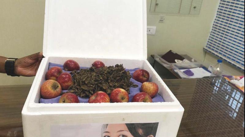 Marijuana packed with apples in boxes.(Image DC) Marijuana packed with apples in boxes.(Image DC)
