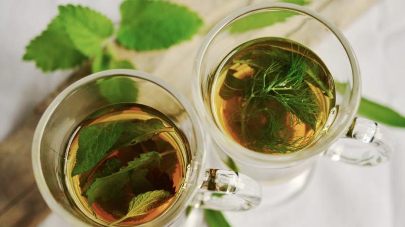 These herbs can improve your health mentally and physically. (Photo: Pexels) These herbs can improve your health mentally and physically. (Photo: Pexels)