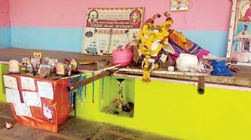The bull which brought fame to B.S. Beleri village in Gadag taluk The bull which brought fame to B.S. Beleri village in Gadag taluk