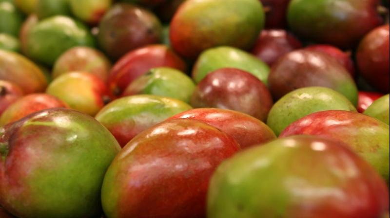 From preventing cancer to lowering cholesterol, here are benefits of having mangoes. (Photo: Pixabay) From preventing cancer to lowering cholesterol, here are benefits of having mangoes. (Photo: Pixabay)