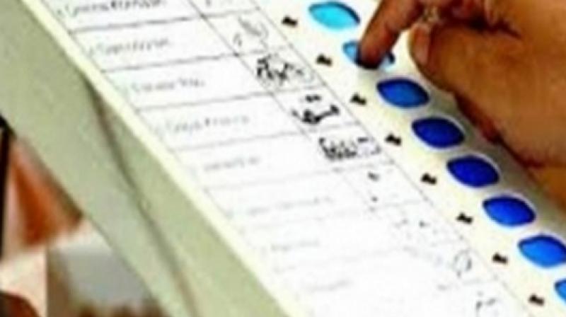 About 180 farmers have filed their nomination papers as a mark of protest against the low prices for turmeric and red jowar. About 180 farmers have filed their nomination papers as a mark of protest against the low prices for turmeric and red jowar.