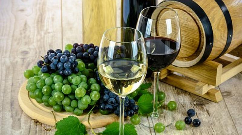 Plants and fruits produce polyphenols to ward off infection by harmful bacteria and other pathogens. (Photo: Pixabay) Plants and fruits produce polyphenols to ward off infection by harmful bacteria and other pathogens. (Photo: Pixabay)