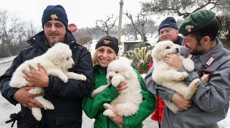 Rescuers hold three puppies that were found alive in the rubble of the avalanche-hit Hotel Rigopiano, near Farindola, central Italy, Monday. (Photo: AP) Rescuers hold three puppies that were found alive in the rubble of the avalanche-hit Hotel Rigopiano, near Farindola, central Italy, Monday. (Photo: AP)