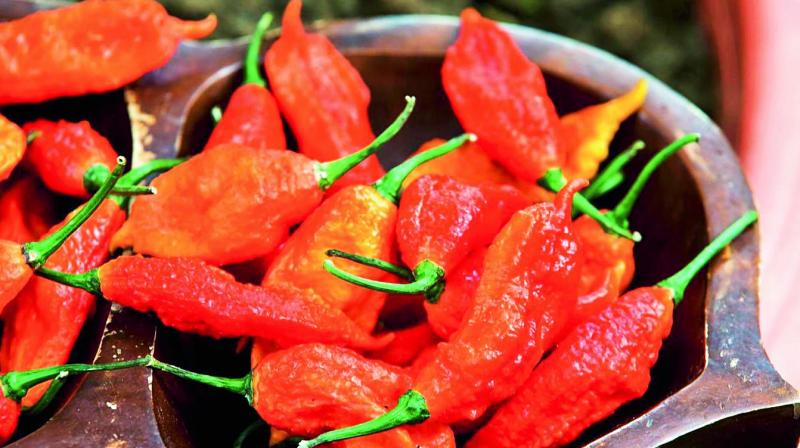Chillies Chillies