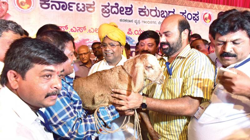 Anjanya, a farmer from Raichur, gifts a goat to CM Siddaramaiah at Prathibha Puraskar and felicitation function organised by Karnataka Pradesh Kurubara Sangha in Bengaluru on Sunday (Photo:DC) Anjanya, a farmer from Raichur, gifts a goat to CM Siddaramaiah at Prathibha Puraskar and felicitation function organised by Karnataka Pradesh Kurubara Sangha in Bengaluru on Sunday (Photo:DC)