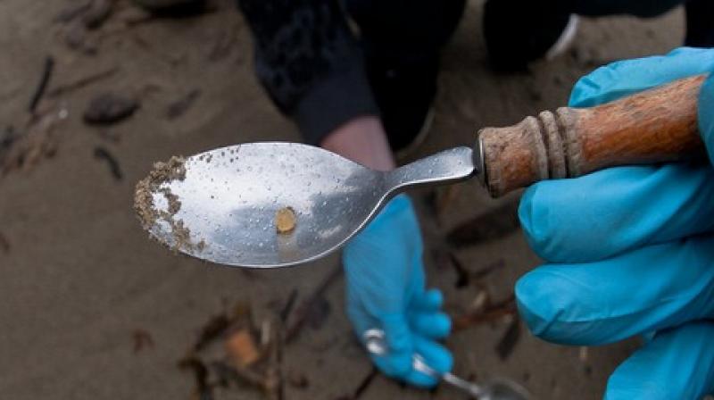 The research highlighted the current difficulty in detecting the presence of nano and microplastics in treatment systems. (Photo: ANI) The research highlighted the current difficulty in detecting the presence of nano and microplastics in treatment systems. (Photo: ANI)
