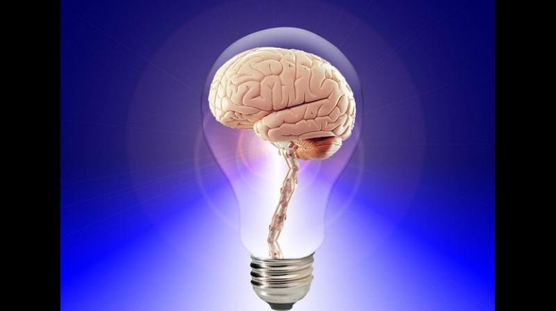 One of the central challenges in modern neuroscience is recording the exchange of information between different regions of the brain. (Photo: ANI)