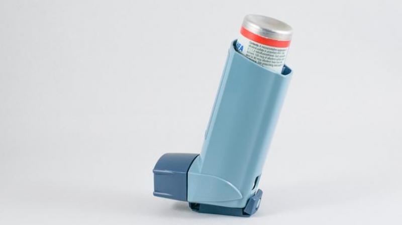 The researchers plan to study the biological processes through which sex hormones might play a role in asthma and allergy. (Photo: Pixabay) The researchers plan to study the biological processes through which sex hormones might play a role in asthma and allergy. (Photo: Pixabay)