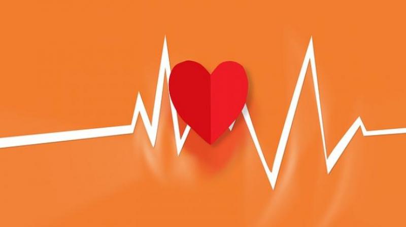 Research stresses the importance of taking steps to keep the brain healthy as early as possible, because atherosclerosis can begin in childhood. (Photo: Pixabay) Research stresses the importance of taking steps to keep the brain healthy as early as possible, because atherosclerosis can begin in childhood. (Photo: Pixabay)