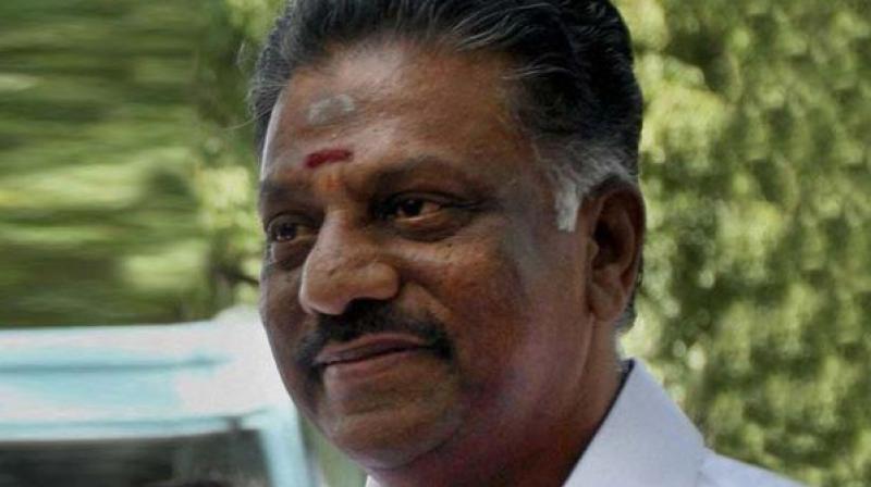 TN Cheif Minister O Pannerselvam TN Cheif Minister O Pannerselvam