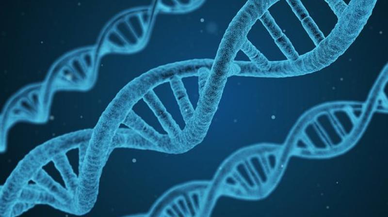 The boy suffers from epidermolysis bullosa, a genetic skin disease that had destroyed about 80 per cent of the outermost layer of his skin. (Photo: Pixabay) The boy suffers from epidermolysis bullosa, a genetic skin disease that had destroyed about 80 per cent of the outermost layer of his skin. (Photo: Pixabay)