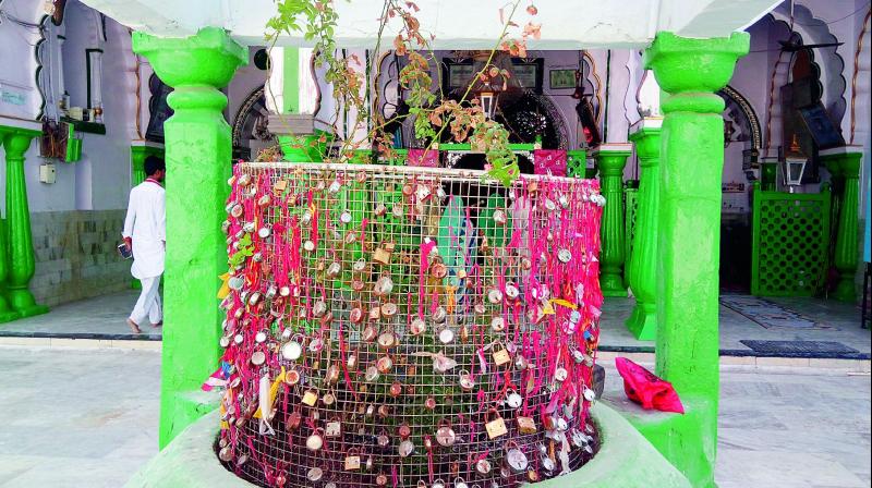 There appear to be more red threads than locks at a tree guard, above, on the premises of the Moula Ali Shrine on Saturday. (Photo: Deccan chronicle) There appear to be more red threads than locks at a tree guard, above, on the premises of the Moula Ali Shrine on Saturday. (Photo: Deccan chronicle)