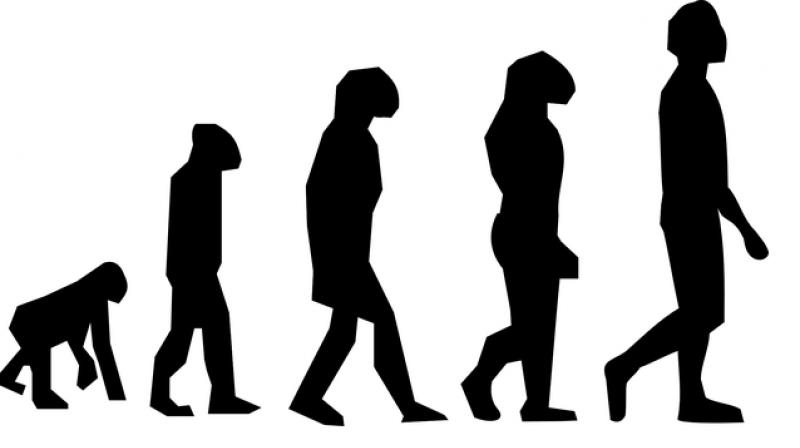 The skeleton, which has been dated to the late eighth millennium BC, is also significant in terms of its bone chemistry. (Photo: Pixabay) The skeleton, which has been dated to the late eighth millennium BC, is also significant in terms of its bone chemistry. (Photo: Pixabay)