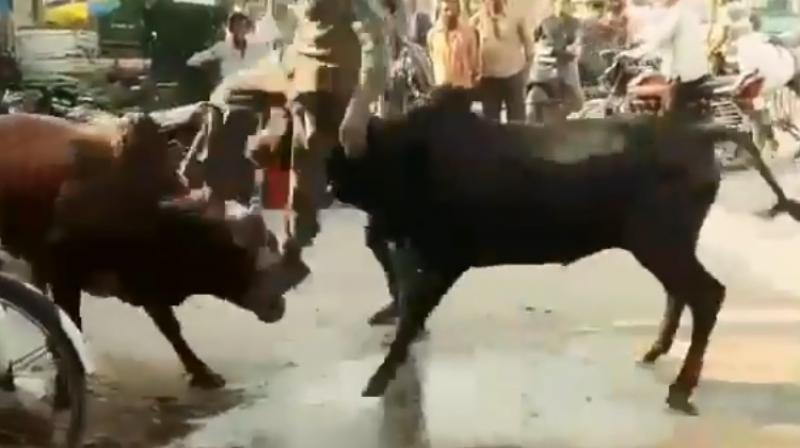 The man can be seen crash-landing on the tar road, looking shocked and humiliated, before stepping back. (Youtube Screengrab/ SKS Rocks) The man can be seen crash-landing on the tar road, looking shocked and humiliated, before stepping back. (Youtube Screengrab/ SKS Rocks)