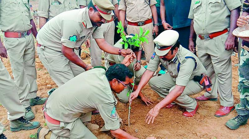Over 22,000 saplings were planted in the 20 hectares of forest land on Monday. Over 22,000 saplings were planted in the 20 hectares of forest land on Monday.