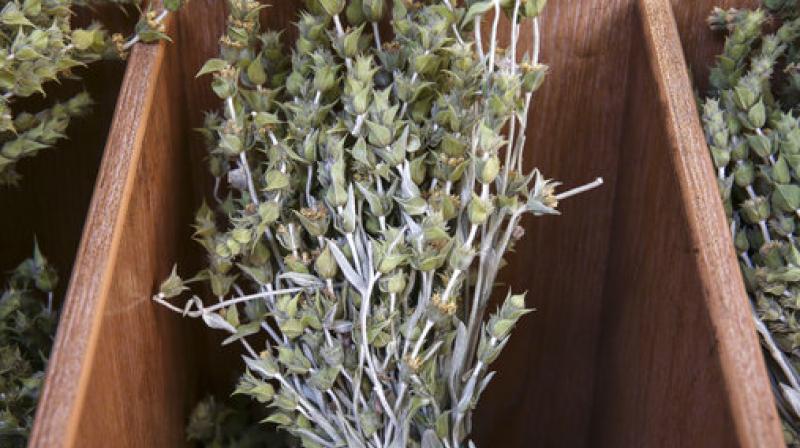 Bunches of mountain tea are on sale in a shop in Athens, on Saturday, July 1, 2017. (Photo: AP) Bunches of mountain tea are on sale in a shop in Athens, on Saturday, July 1, 2017. (Photo: AP)